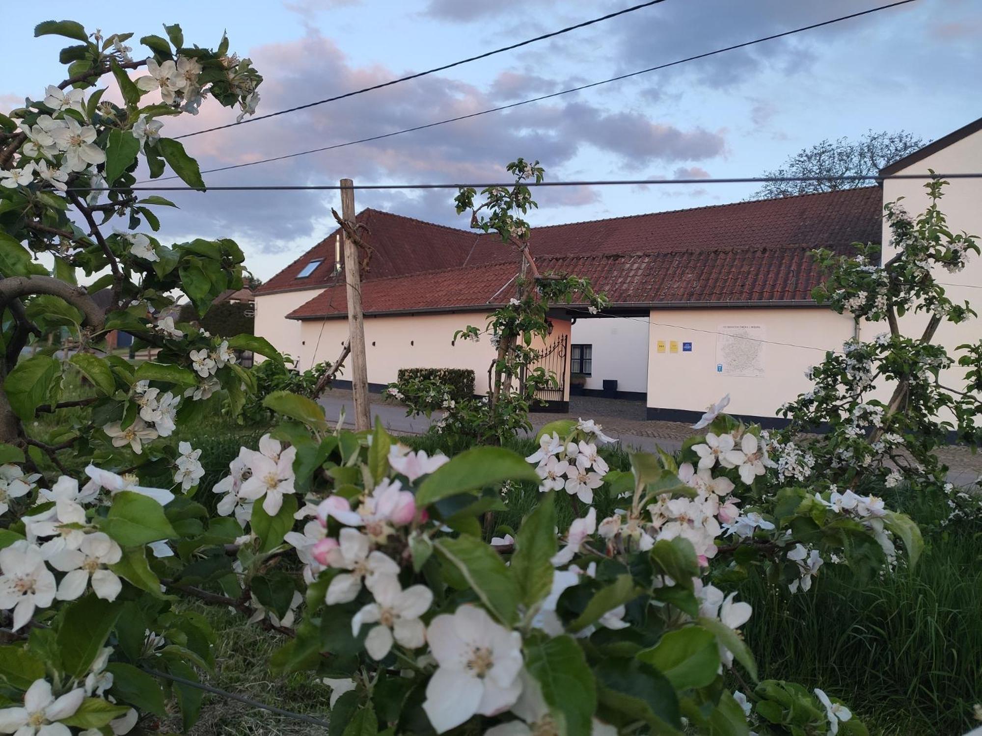 Het Hemelsveld Bed and Breakfast Hasselt Eksteriør billede