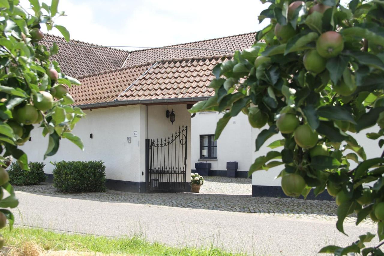 Het Hemelsveld Bed and Breakfast Hasselt Eksteriør billede